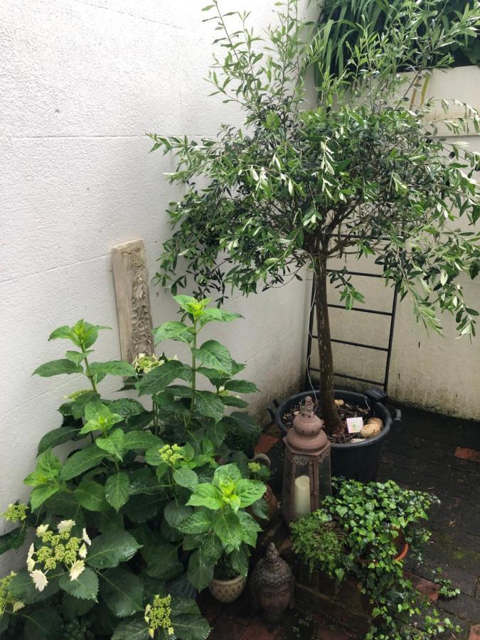 Olive Tree Apartment Hove Brighton Exterior foto