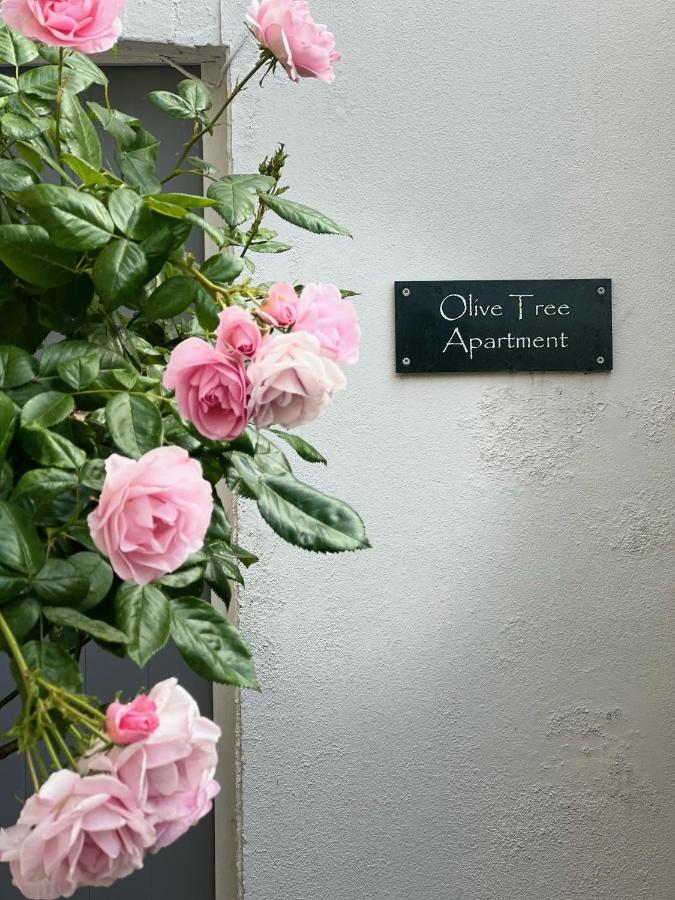 Olive Tree Apartment Hove Brighton Exterior foto