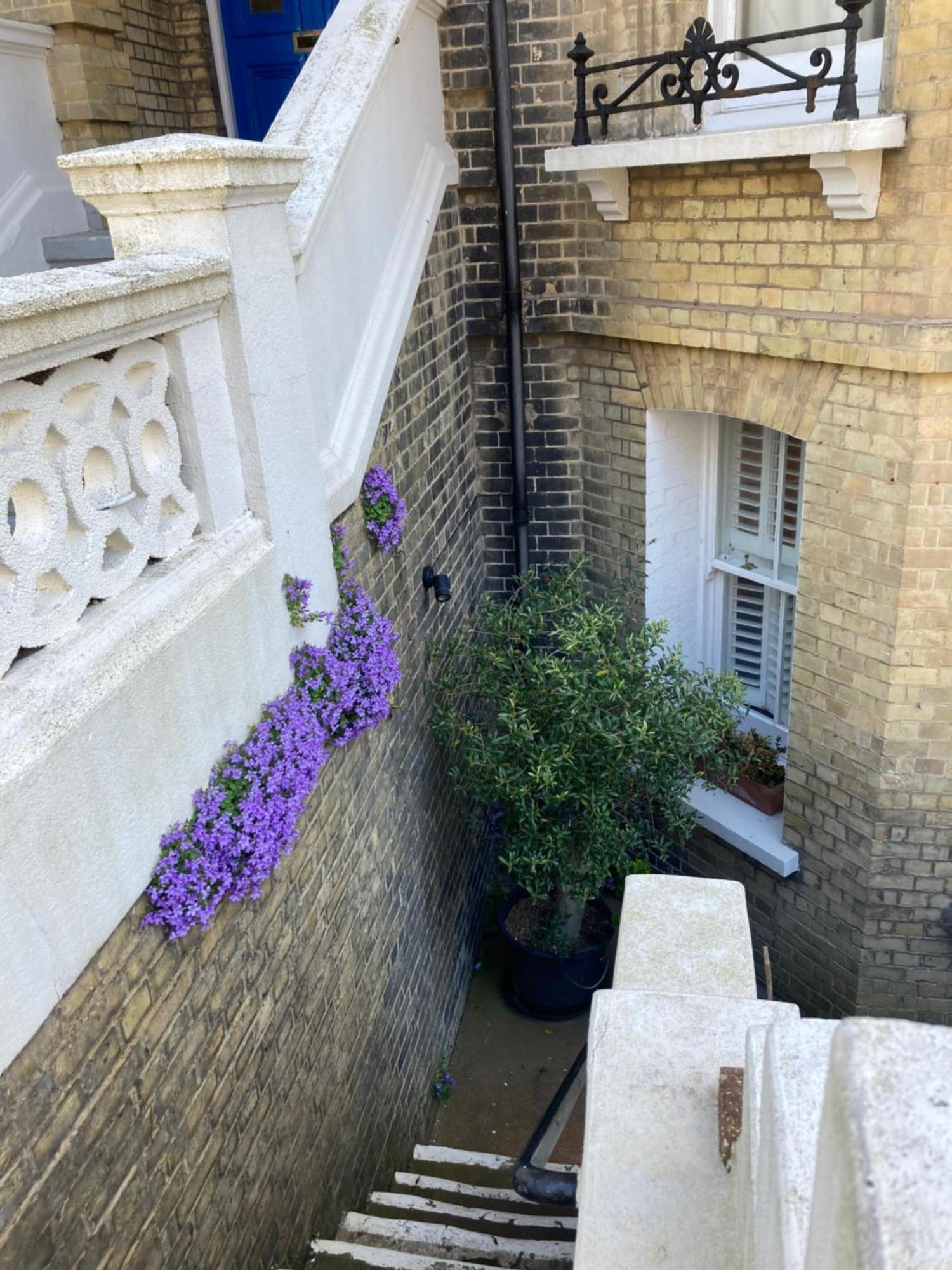 Olive Tree Apartment Hove Brighton Quarto foto